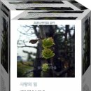 들꽃사랑 이미지