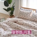 늘편한이불 이미지