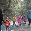 금부초교 이미지