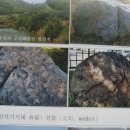 낙동 운평리 Daum카페