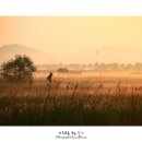 소래습지생태공원 이미지