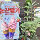 미니스톱천안승후점 | 천안미니스톱 논산딸기 아이스크림 소프트콘 할인행사 가격은?