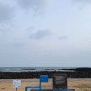 제주 올레길 21코스 | [겨울 제주 올레길 100km 완주 ②] Day1 20·21코스 후기｜비 오는 날 28.7km와 지미봉 난이도