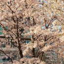 우장산역 1번출구 이미지