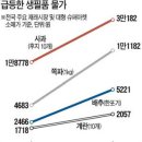 폭탄돼지 이미지