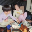 행복뜰농원 이미지