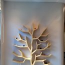 사과나무소아청소년과의원 이미지