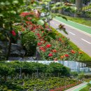 동일로163길 (25) 이미지