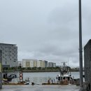 (주)커넥트호텔부산 | 부산 영도 조식맛집 시타딘커넥트호텔 하리 부산 내돈내산 솔직후기