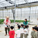 백곡초교 병설유치원 이미지