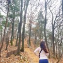 중리마을회관 | 경기도 화성 가볼만한곳 - 무봉산 등산코스 소요시간 및 주차 정보 정리