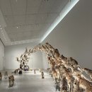 신미술관 이미지