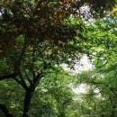 공도도서관 앞 공원 이미지