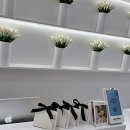 백산프라자 | 속눈썹 하나로 달라지는 나의 매력, 범계에서 발견하다!