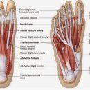 나무트레이닝 이미지
