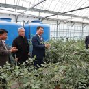 김산농장 이미지