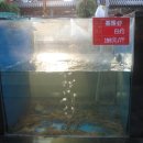 홍태양식당 이미지