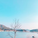 합천호농협주유소 | 합천해피캠핑장 자세한후기 (뷰는 이쁘지만.. ㅠㅠ)