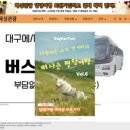 혜성관광 이미지