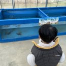 쌍동농장 네이버블로그