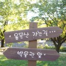 용문산 용문사 은행나무 구경(경기 양평 1박2일 여행코스)