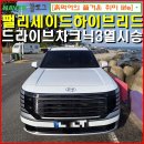 양남시장 | 팰리세이드 하이브리드 3열 시승후기 울산주전 드라이브 차크닉.