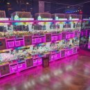 펀시티 CGV주안역점 | (오락실) 새로 리뉴얼된 천안 신세계 B관 4층 펀시티 오락실 리뷰