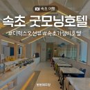 굿모닝 호텔 | 속초 호텔 굿모닝호텔 고속터미널 도보 5분 가성비 숙소 디럭스 오션뷰