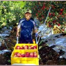 용천농원 이미지