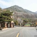 충북알프스자연휴양림 이미지