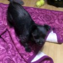 가야아파트 이미지