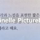 시넬 이미지