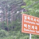 햇빛농장2 이미지