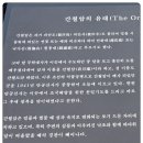 보령해저터널 개통 이미지