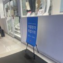 아인스커피피자 이미지