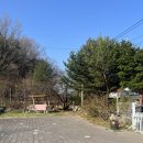 거마천로 | [양양 가볼만한 곳] 정원 카페 <화일리> 후기 | 사장님의 친절함과 자연이 어우러진 휴식 공간