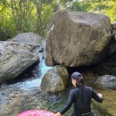 사지목나무그늘 이미지