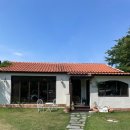 베리 | 강릉 사천 여행 예쁜 정원카페 - 브라운베리 후기