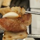 #속초 고기 맛집 청초숯불갈비 제주 생갈비 후기