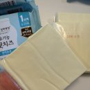 둥이목장 네이버블로그