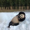 경도관 이미지