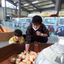 재민목장 이미지