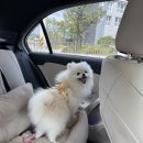 원미구 도약로 239 이미지