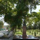 별의궁전 이미지