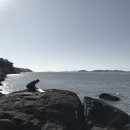 도서출판 근원