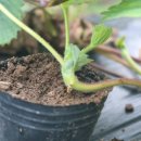 반디별펜션 이미지