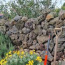 일과서림 이미지