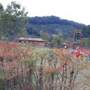 단감테마공원 이미지