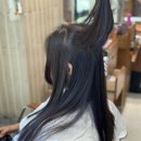 시크릿지니