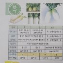 농산물품질관리사 2차 자료 칼라 1 이미지